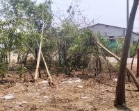 అధికారుల నిర్లక్ష్యం.. ప్రకృతి వనానికి గ్రహణం