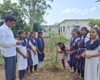 మొక్కలకు రాఖీ కట్టి.. మమకారం చాటుకొని..