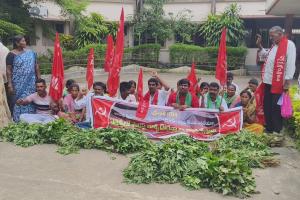 పత్తి పంట ను ధ్వంసం చేసిన ఫారెస్ట్ అధికారులపై చర్యలు తీసుకోవాలి- సిపిఐ ఎంఎల్ న్యూడెమోక్రసీ భద్రాద్రి కొత్తగూడెం జిల్లా సహాయ కార్యదర్శి కామ్రేడ్ గౌని నాగేశ్వరరావు,