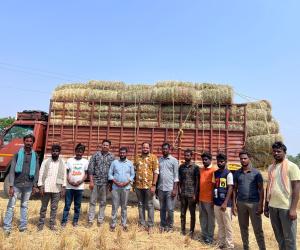బోధన్ గోశాలకు పశుగ్రాసం అందజేసిన బీర్కూర్ యువకులు